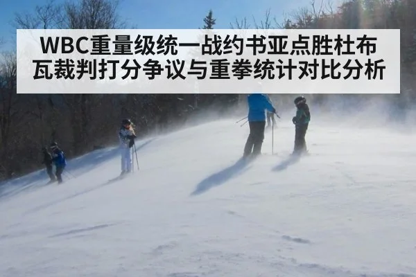 WBC重量级统一战约书亚点胜杜布瓦裁判打分争议与重拳统计对比分析