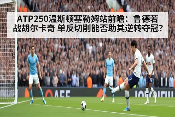 ATP250温斯顿塞勒姆站前瞻:鲁德若战胡尔卡奇 单反切削能否助其逆转夺冠?