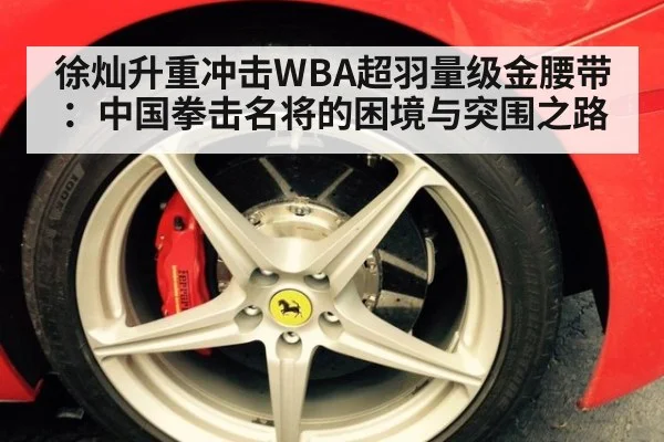 徐灿升重冲击WBA超羽量级金腰带：中国拳击名将的困境与突围之路